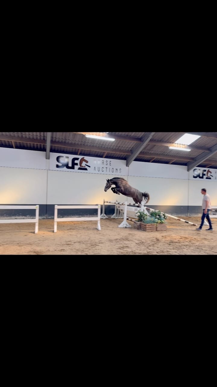 Post 1 by Leonie Bredemeier on Instagram (video)
