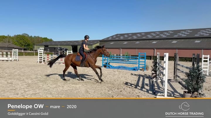 Post 7 by Leonie Bredemeier on Instagram (carousel)