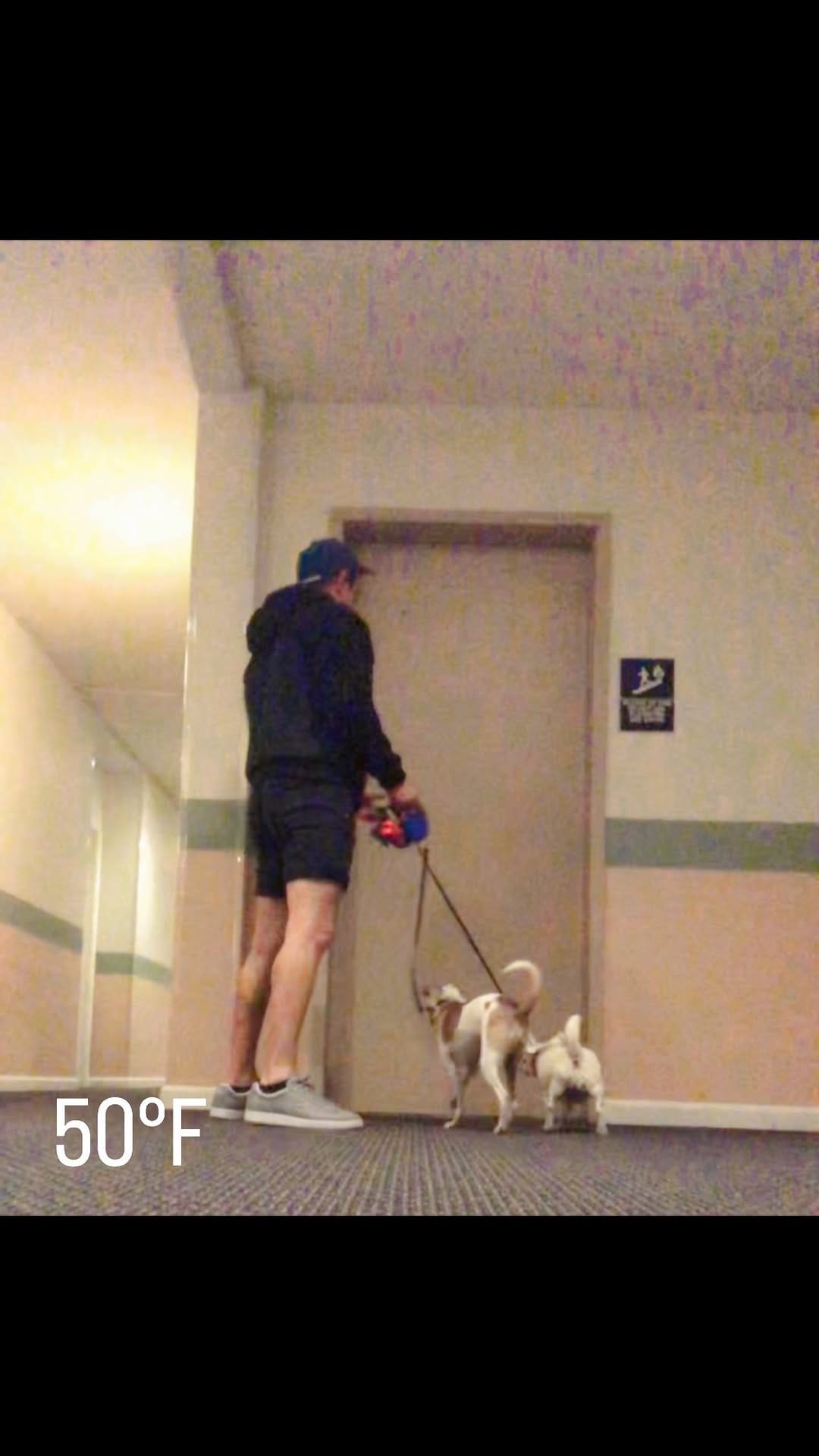 Post 4 by Ernesto Caro on Instagram (video)