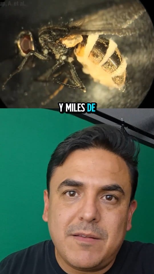 Post 10 by Dr.  Efren Robledo-Leal on Instagram (video)