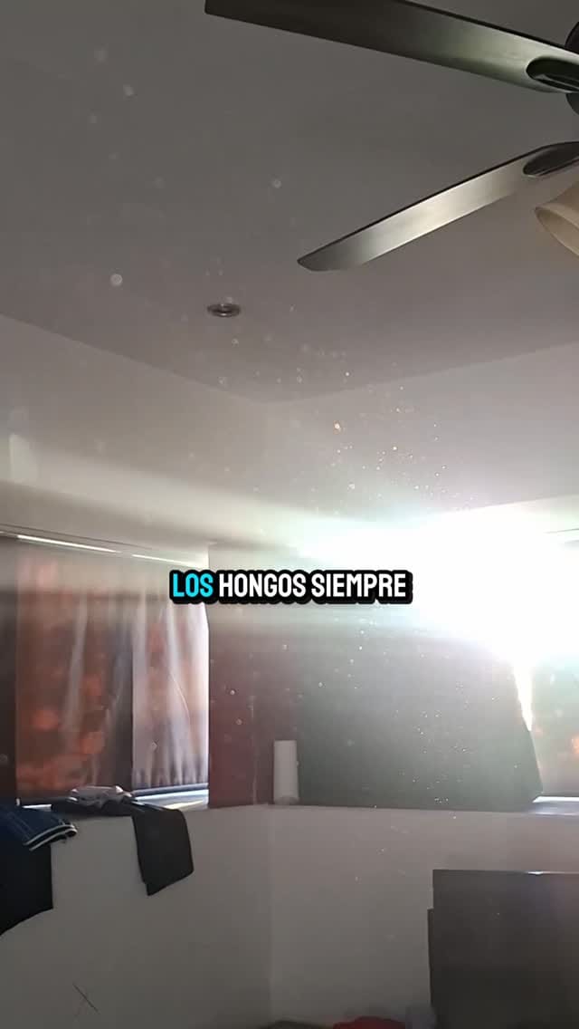 Post 7 by Dr.  Efren Robledo-Leal on Instagram (video)