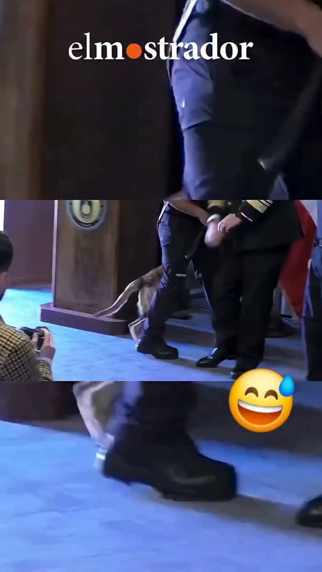 Post 5 by Dr.  Efren Robledo-Leal on Instagram (video)