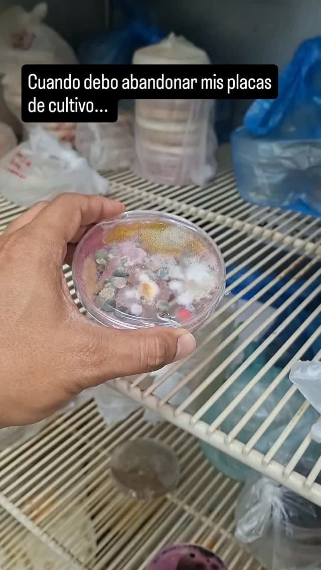 Post 3 by Dr.  Efren Robledo-Leal on Instagram (video)