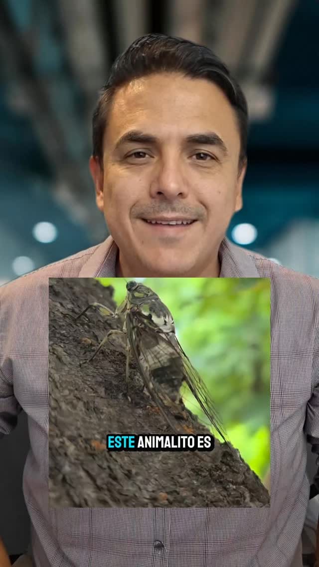 Post 9 by Dr.  Efren Robledo-Leal on Instagram (video)