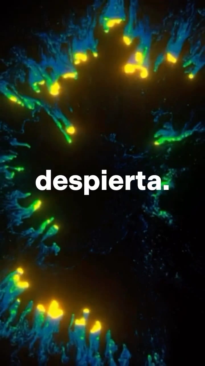 Post 1 by Ernesto Cacho on Instagram (video)