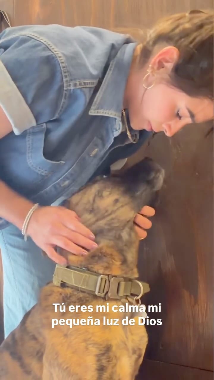 Post 5 by MICHELLE DE REGIL on Instagram (video)