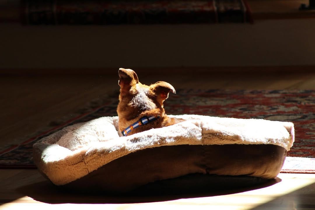 Post 5 by Hi, I'm Skittles! on Instagram (carousel)