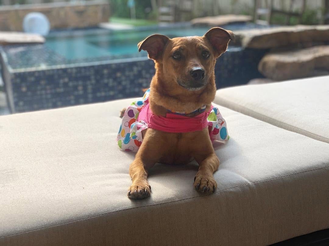 Post 8 by Hi, I'm Skittles! on Instagram (image)