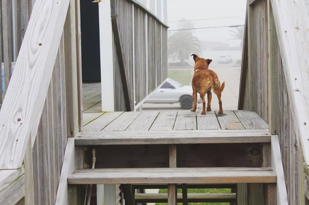 Post 9 by Hi, I'm Skittles! on Instagram (image)