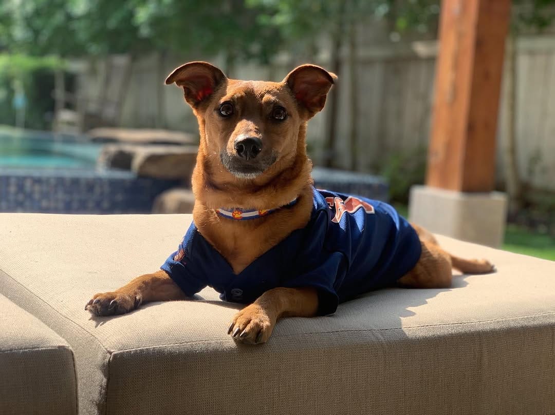 Post 4 by Hi, I'm Skittles! on Instagram (image)