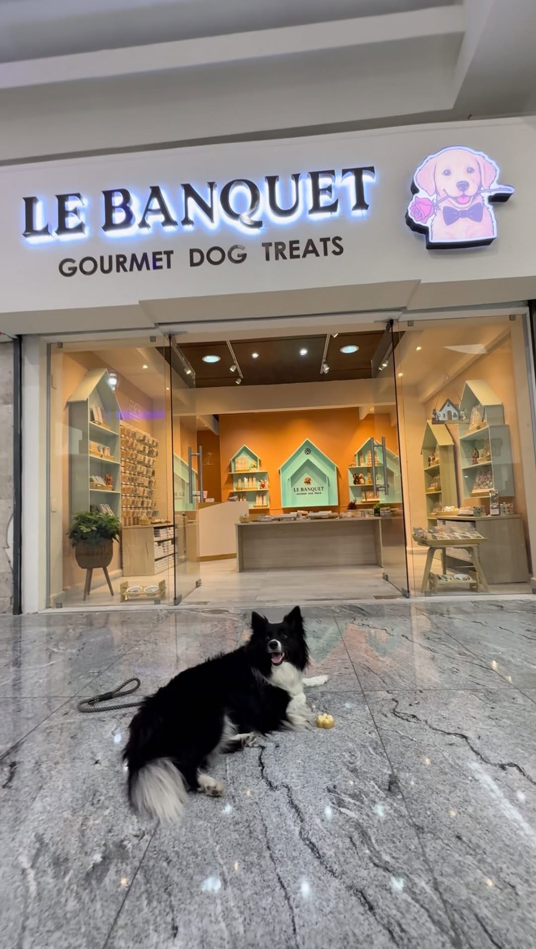 Post 10 by Le Banquet | Premios Gourmet 🐾🍪 on Instagram (video)