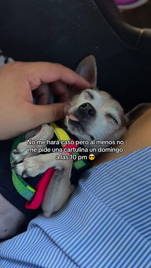 Post 3 by Nadia Hernández on Instagram (video)