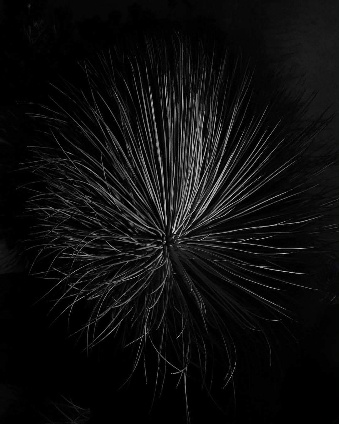Post 5 by Brenda C.A. on Instagram (image)