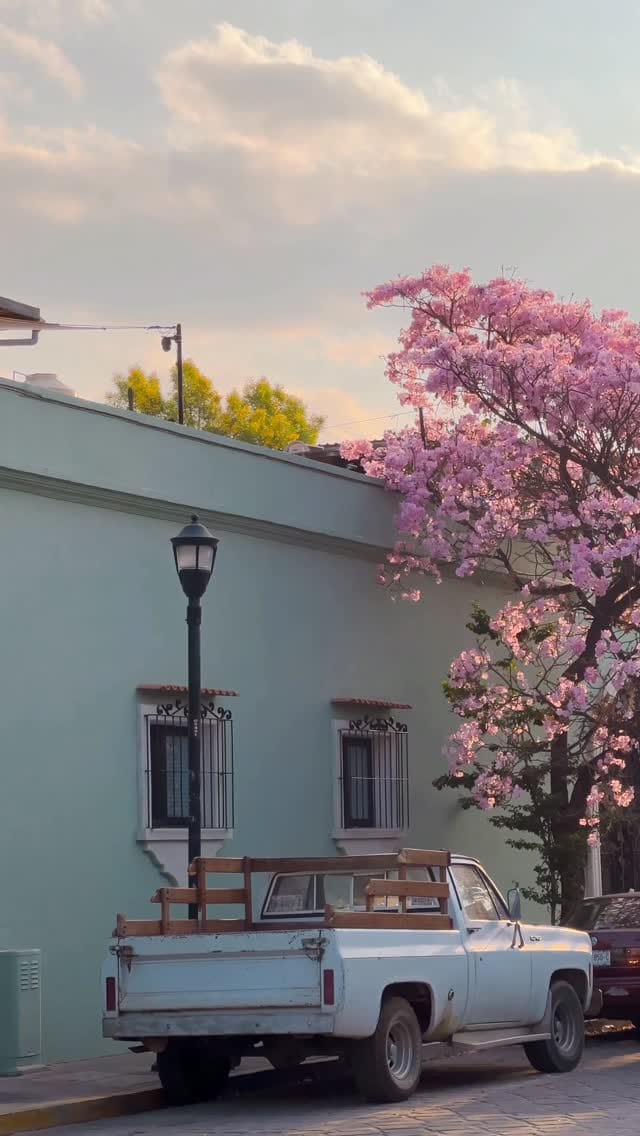 Post 8 by Rodrigo Mendez on Instagram (video)