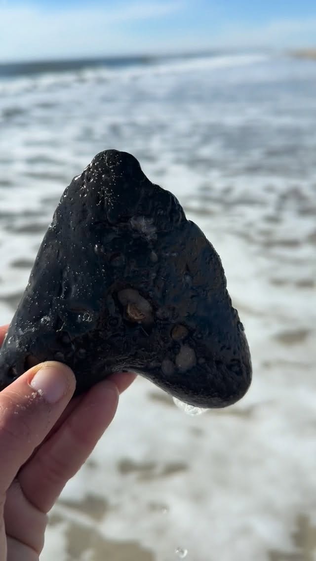 Post 1 by Holden Beach, NC on Instagram (video)