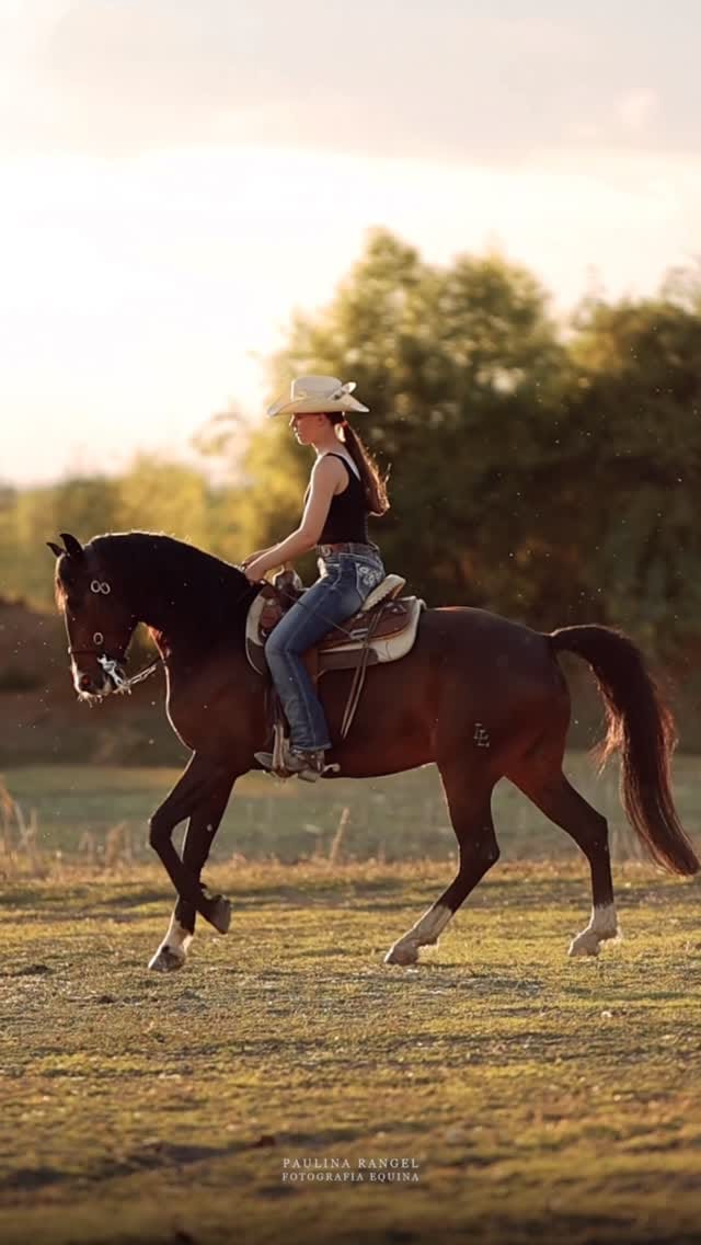 Post 1 by Paulina Rangel on Instagram (video)