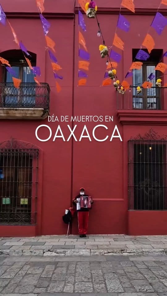 Post 6 by Soy el Pata de Perro on Instagram (video)