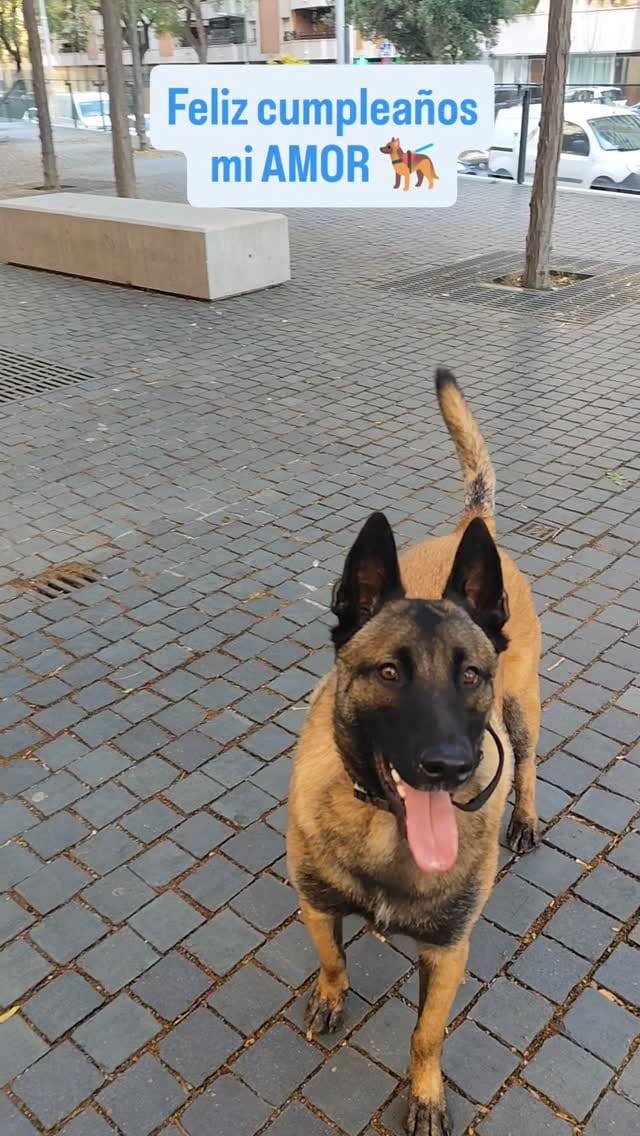 Post 5 by Sonia Medina on Instagram (video)