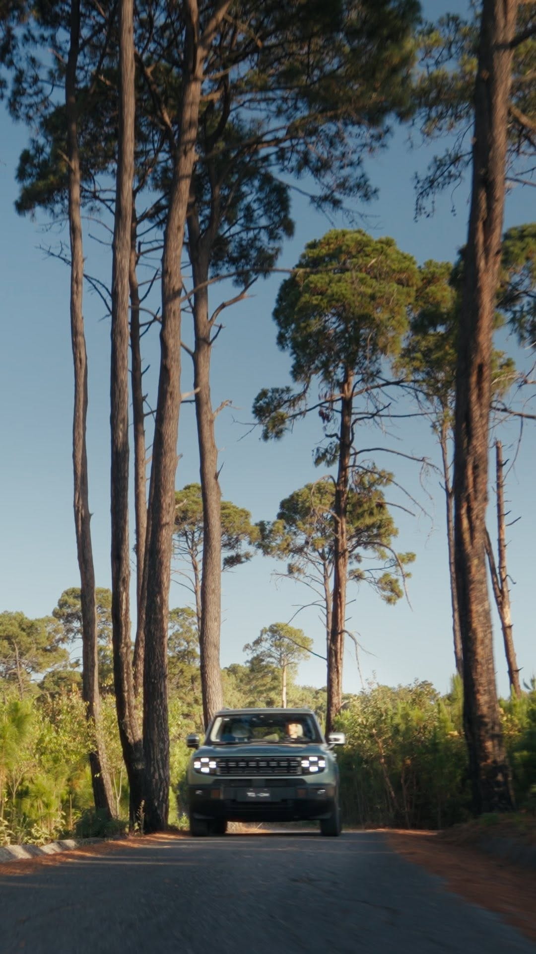 Post 1 by Gian Mendez | Video & Photo on Instagram (video)