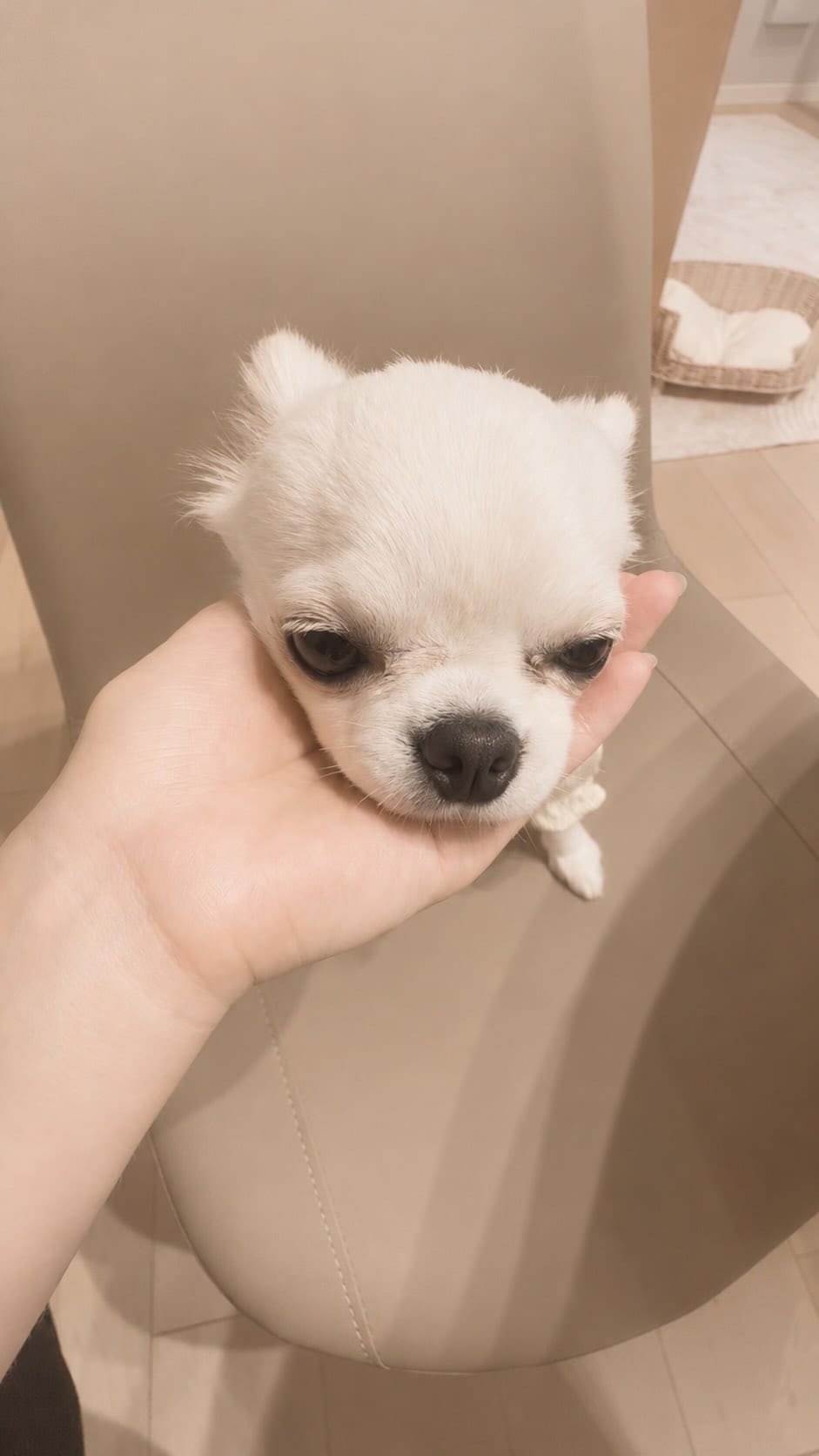Post 1 by ˗ˏˋおもずくわˎˊ˗ on Instagram (video)