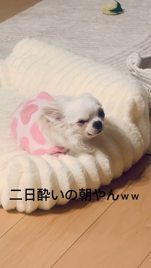 Post 3 by ˗ˏˋおもずくわˎˊ˗ on Instagram (video)