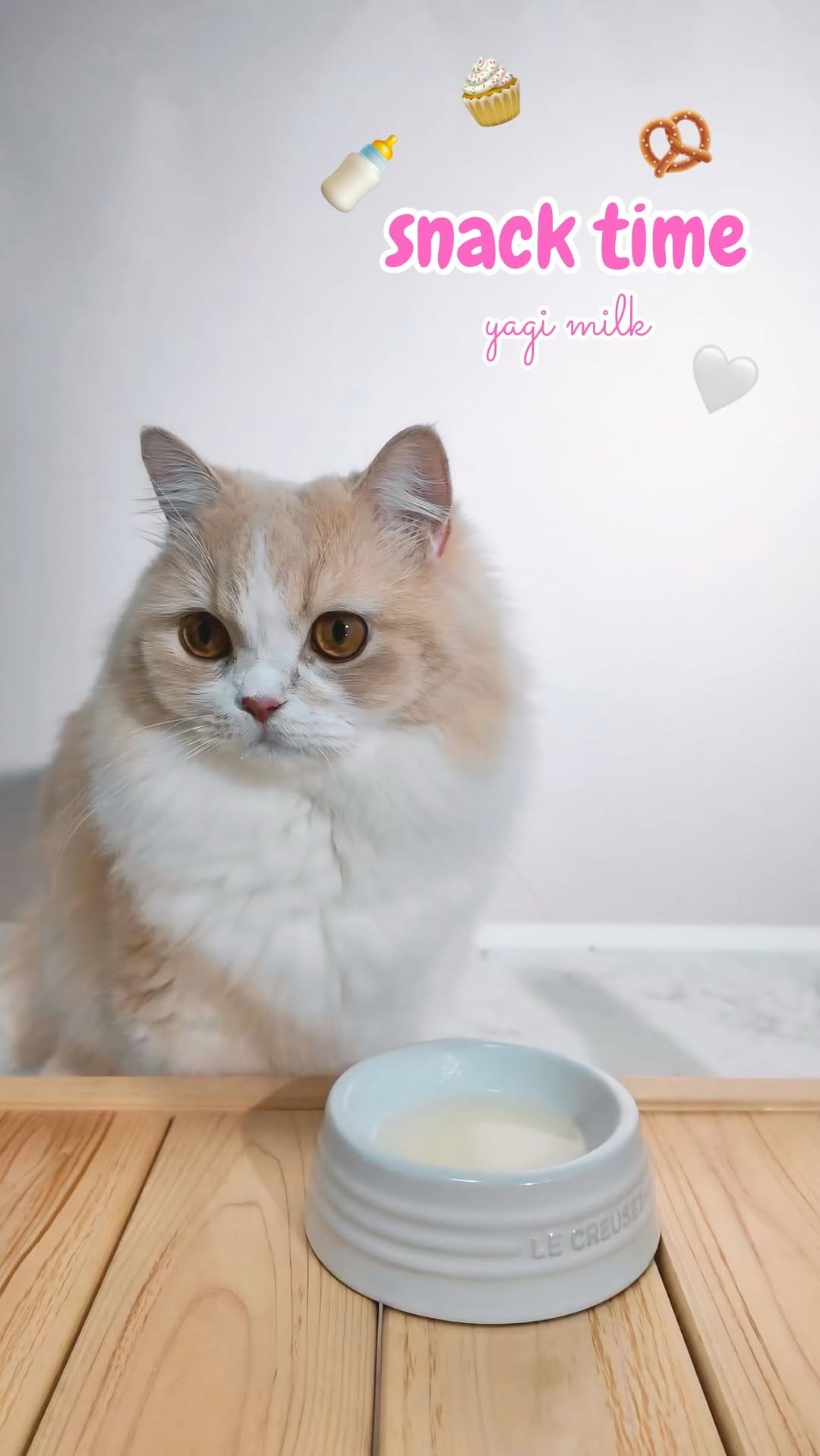 Post 6 by ˗ˏˋおもずくわˎˊ˗ on Instagram (video)