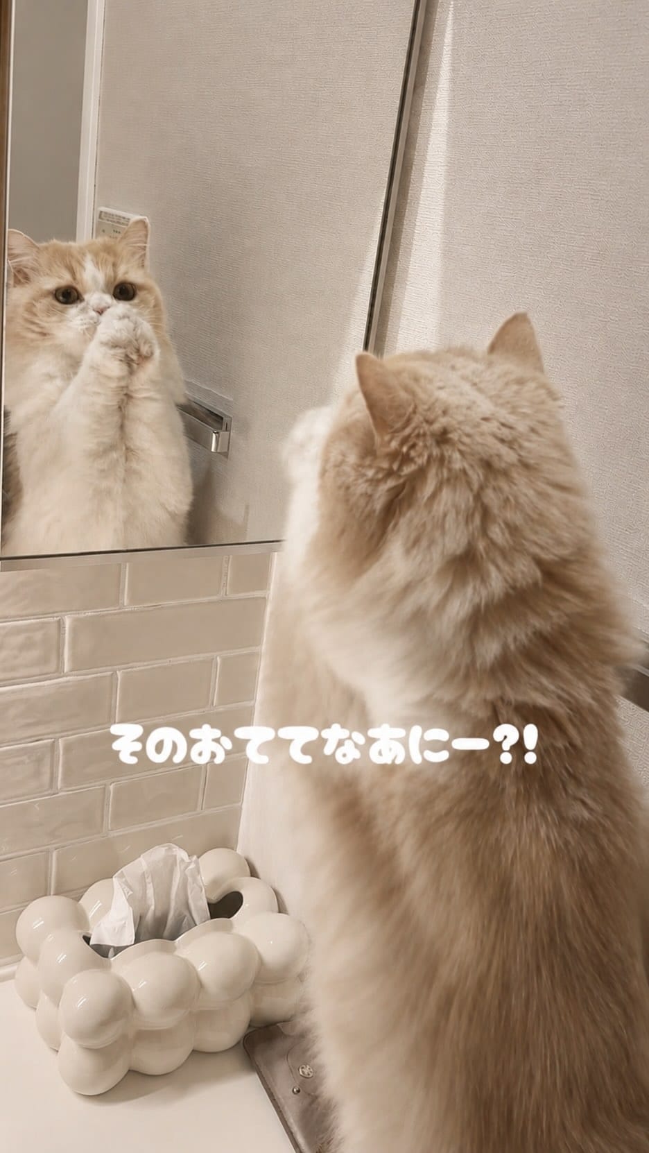 Post 2 by ˗ˏˋおもずくわˎˊ˗ on Instagram (video)