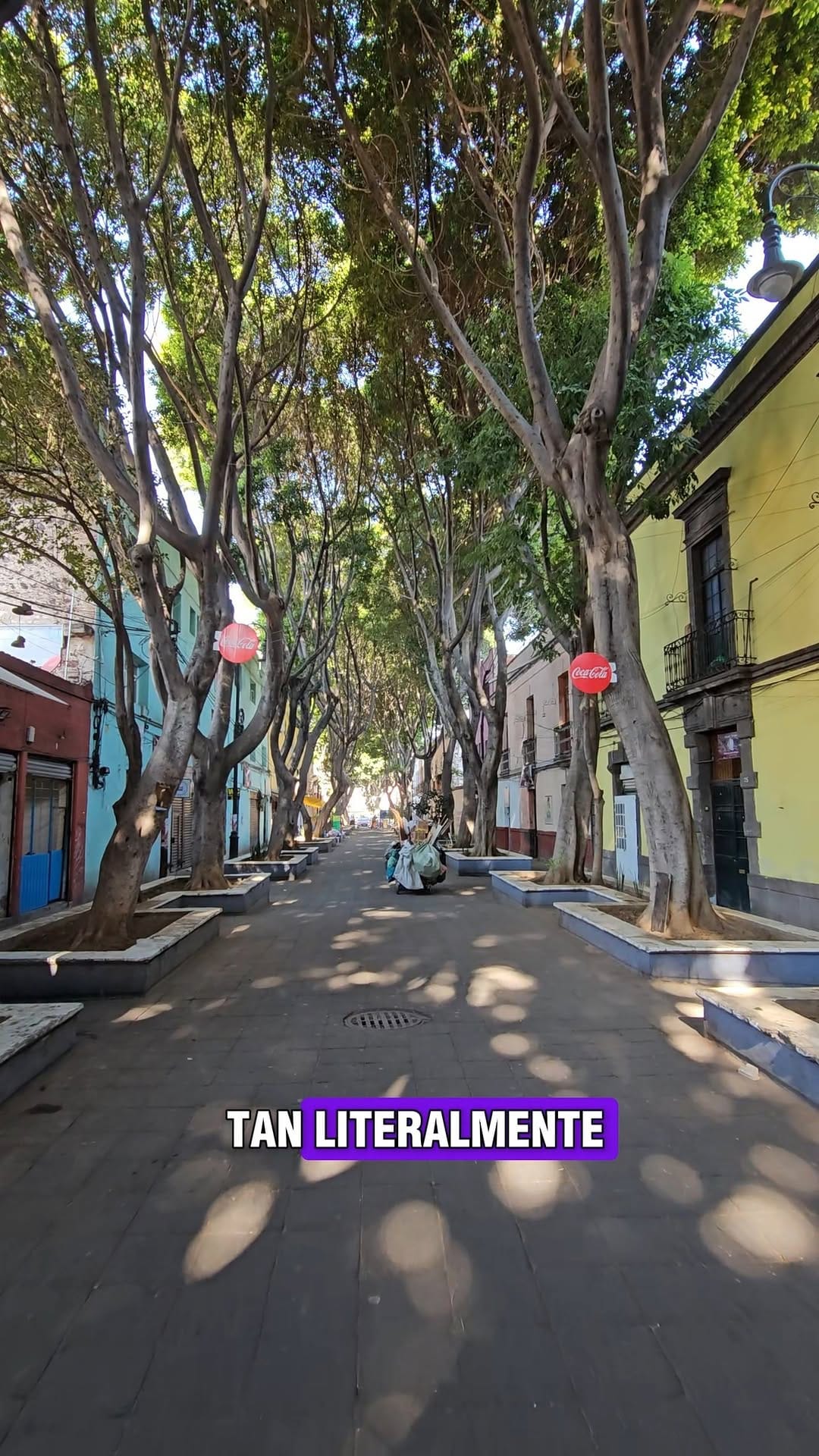 Post 5 by A patín por México on Instagram (video)