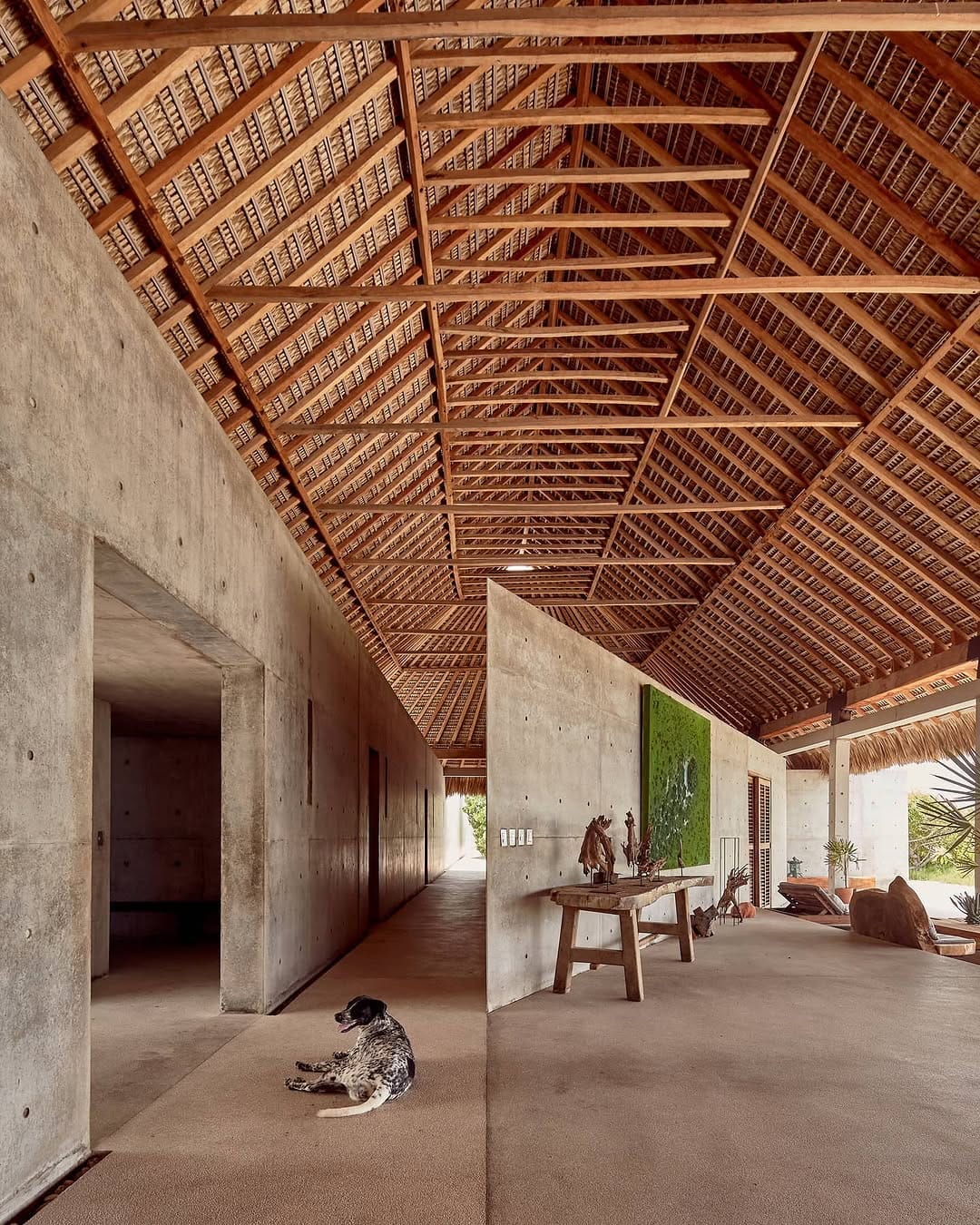 Post 10 by Ricardo de la Concha on Instagram (image)