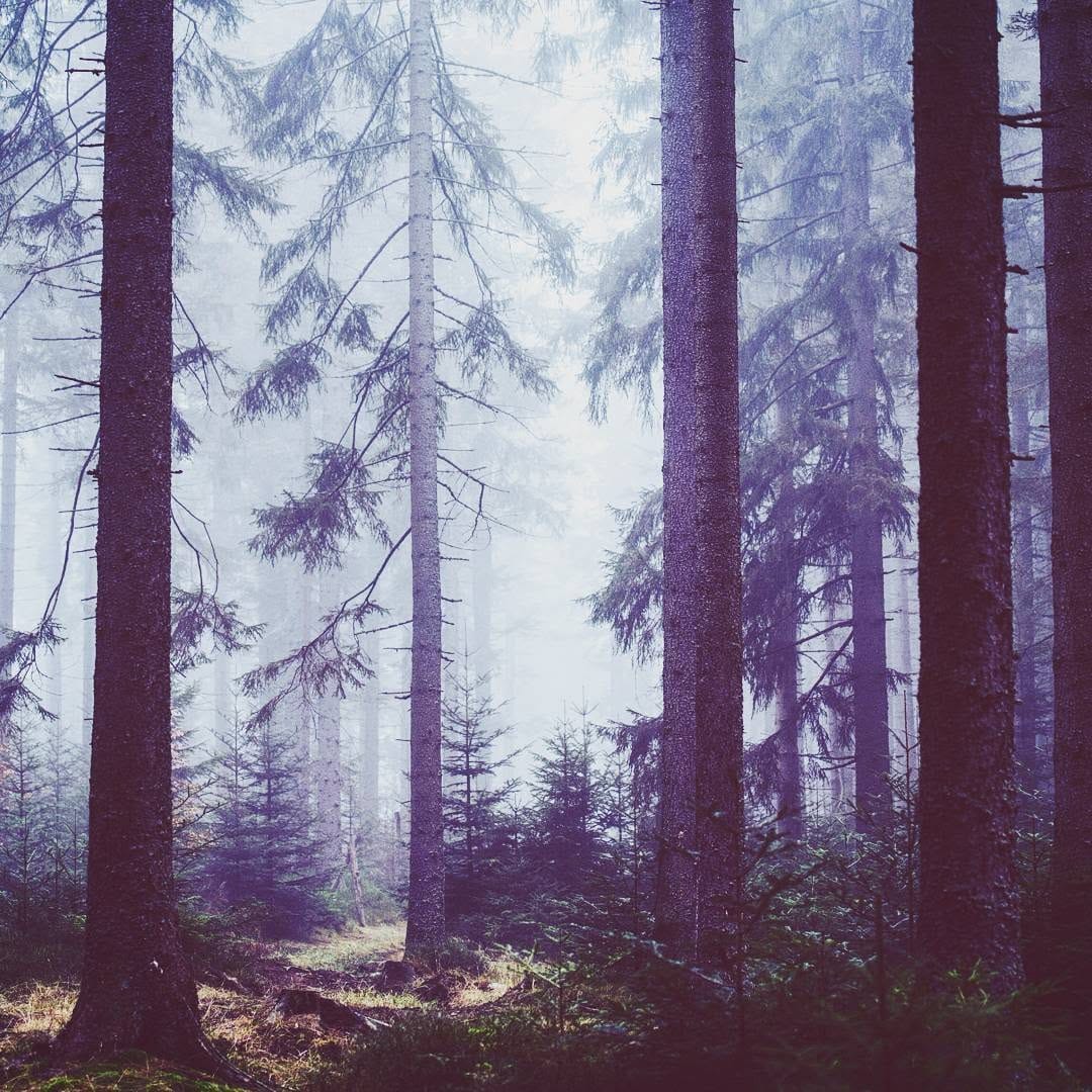 Post 10 by Sebastian Thieme - Portraits on Instagram (image)