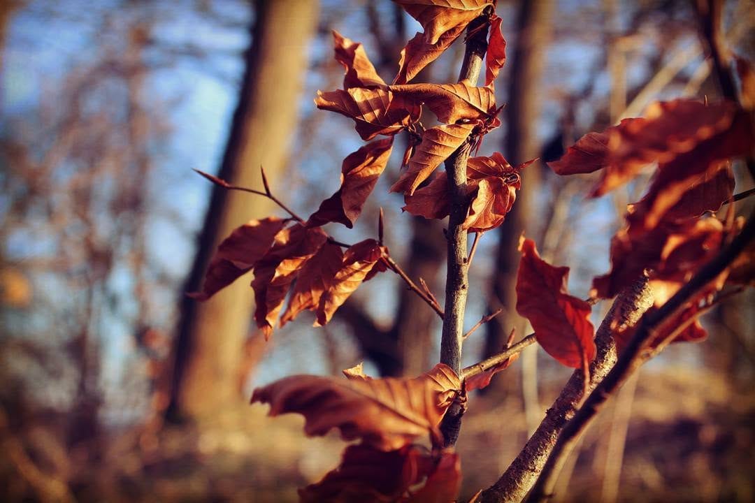 Post 8 by Sebastian Thieme - Portraits on Instagram (image)