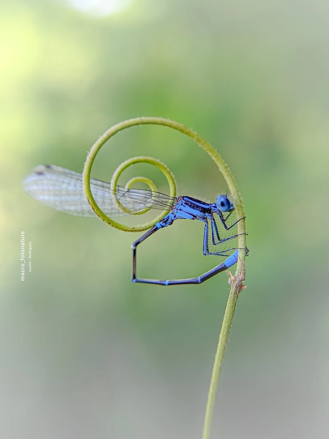 Post 9 by luci Rodriguez on Instagram (image)