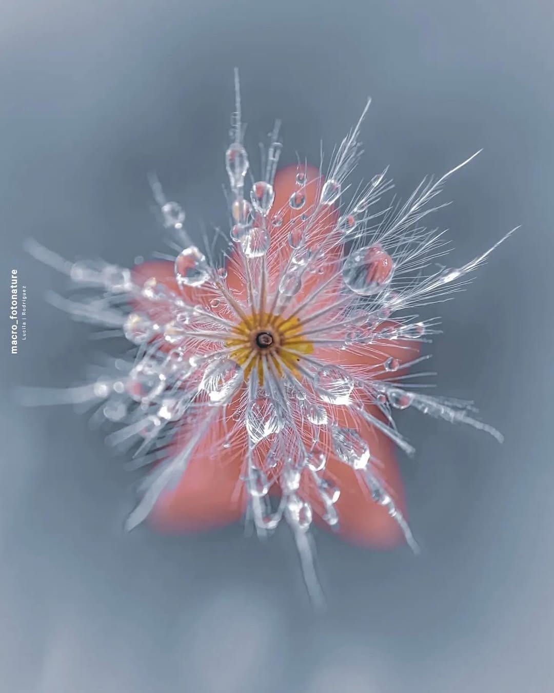 Post 7 by luci Rodriguez on Instagram (image)