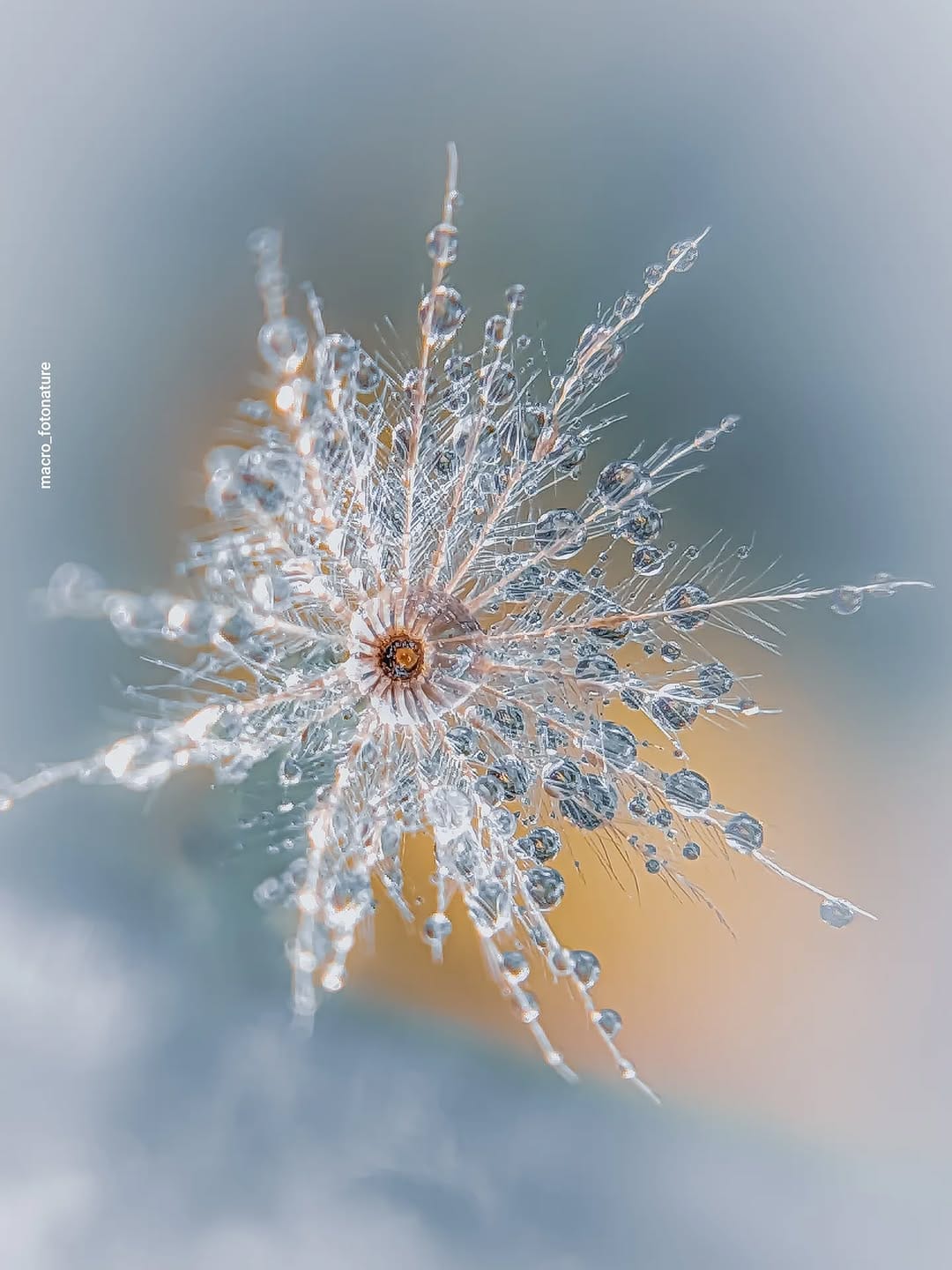 Post 4 by luci Rodriguez on Instagram (image)