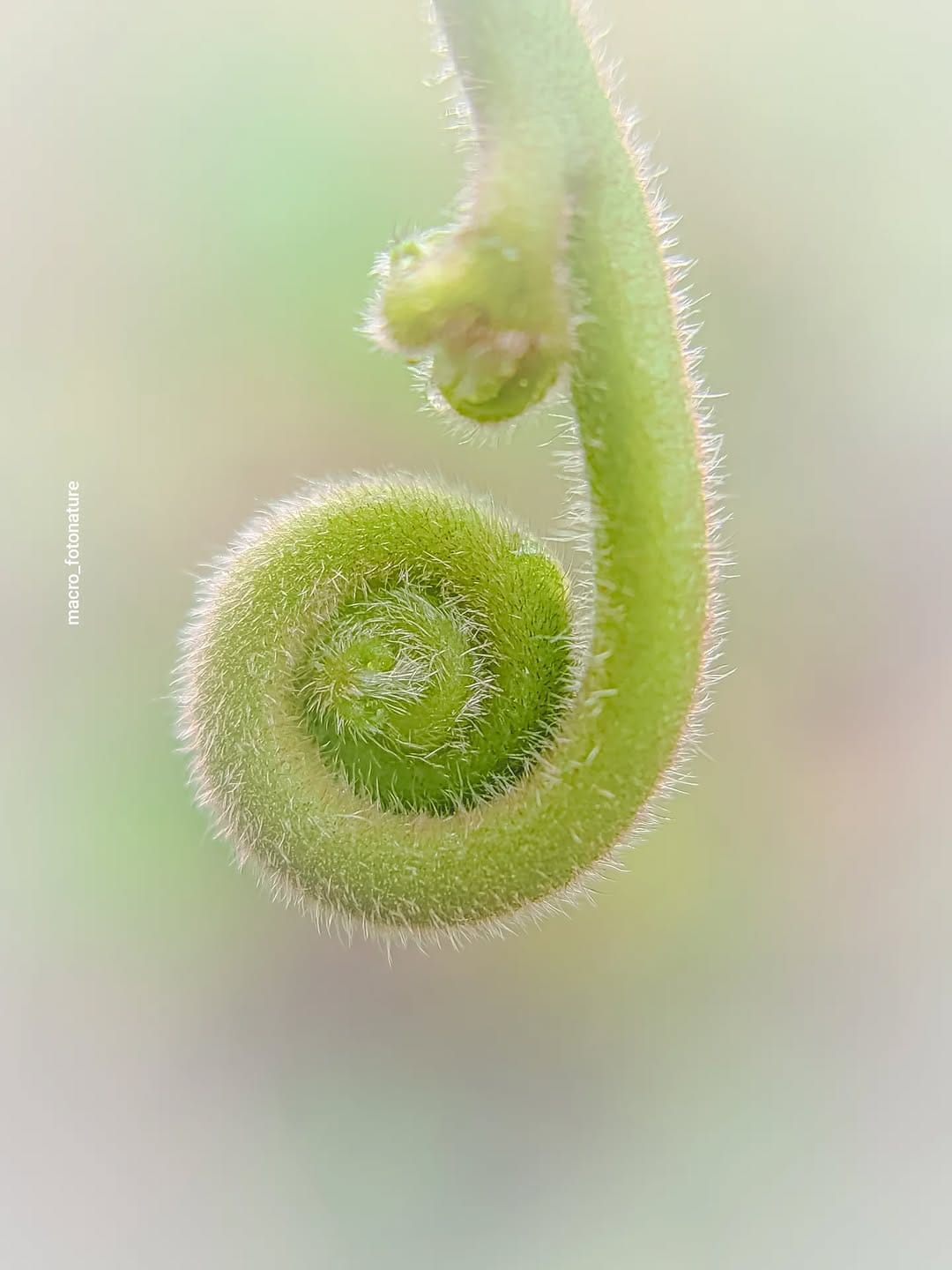 Post 6 by luci Rodriguez on Instagram (image)