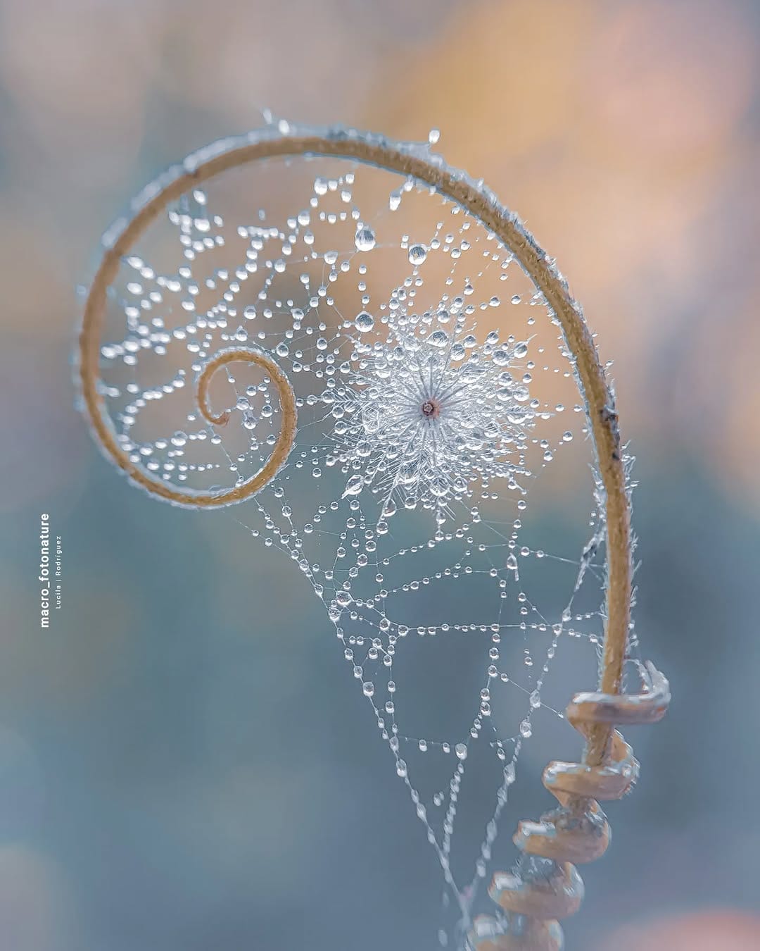 Post 10 by luci Rodriguez on Instagram (image)