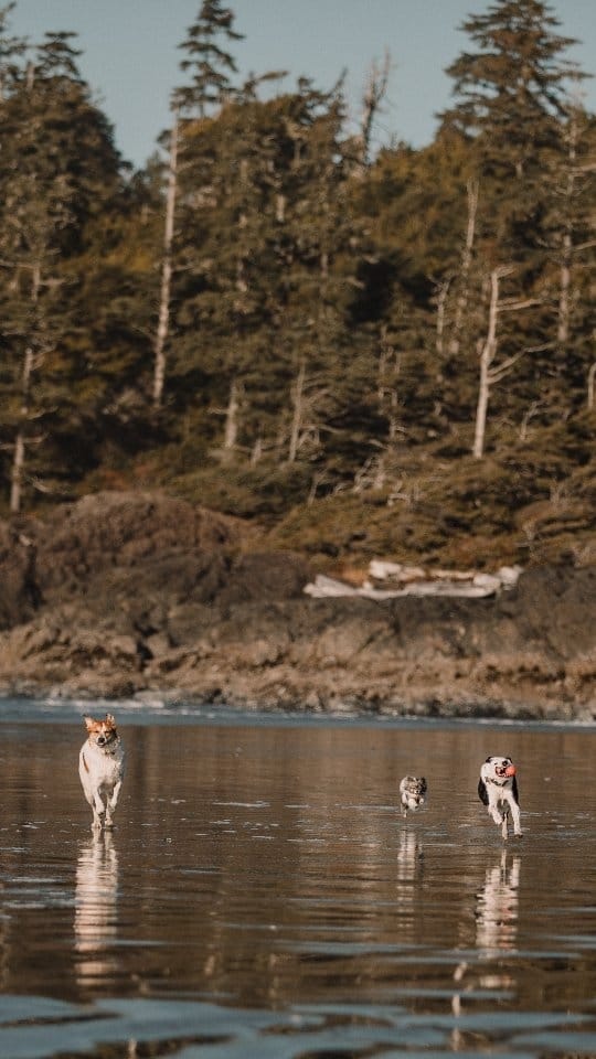 Post 7 by riverexplores on Instagram (video)