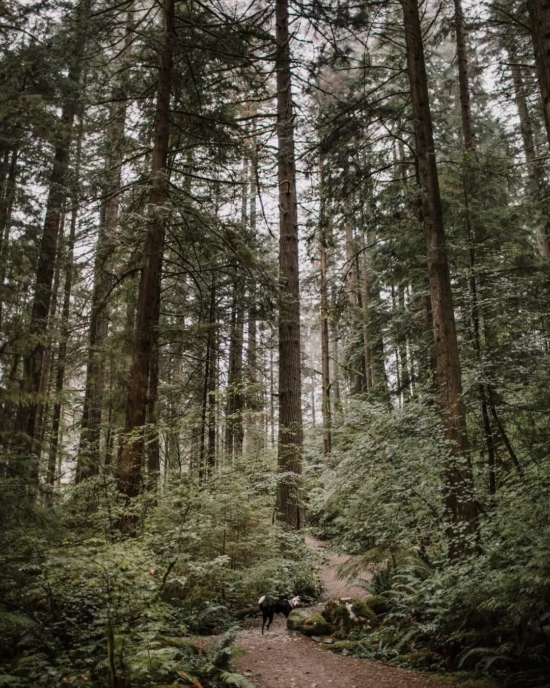 Post 8 by riverexplores on Instagram (image)