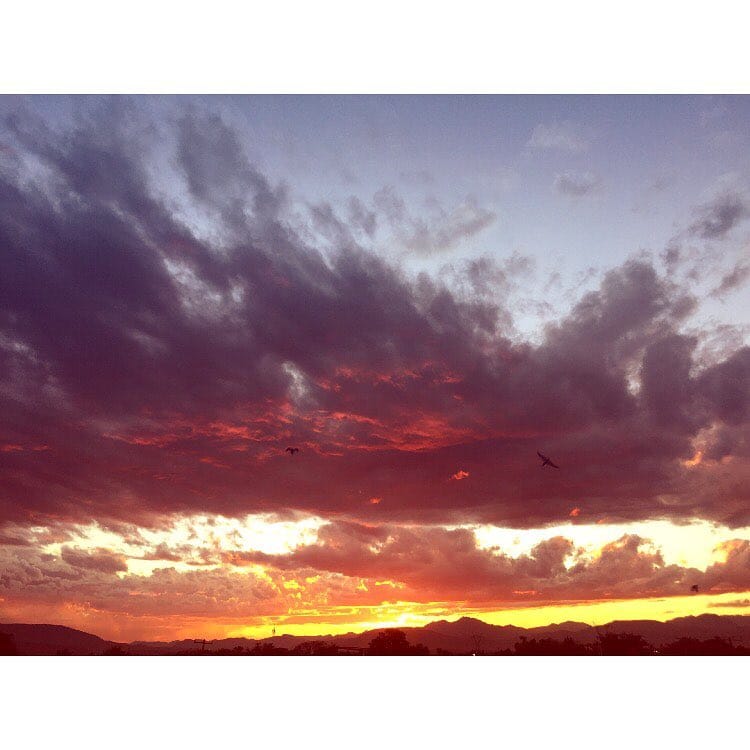 Post 10 by ⠀⠀⠀⠀⠀⠀⠀⠀⠀⠀⠀José Alfredo García on Instagram (image)