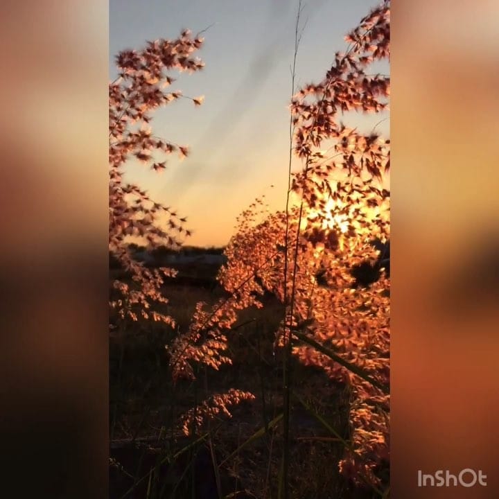 Post 4 by ⠀⠀⠀⠀⠀⠀⠀⠀⠀⠀⠀José Alfredo García on Instagram (video)