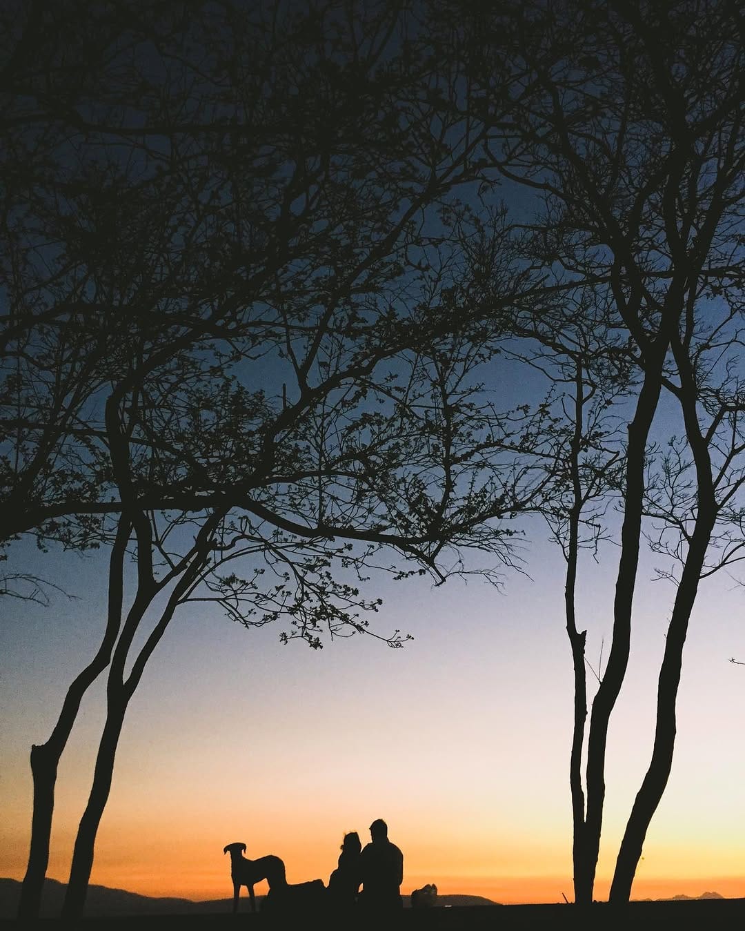 Post 3 by ⠀⠀⠀⠀⠀⠀⠀⠀⠀⠀⠀José Alfredo García on Instagram (image)