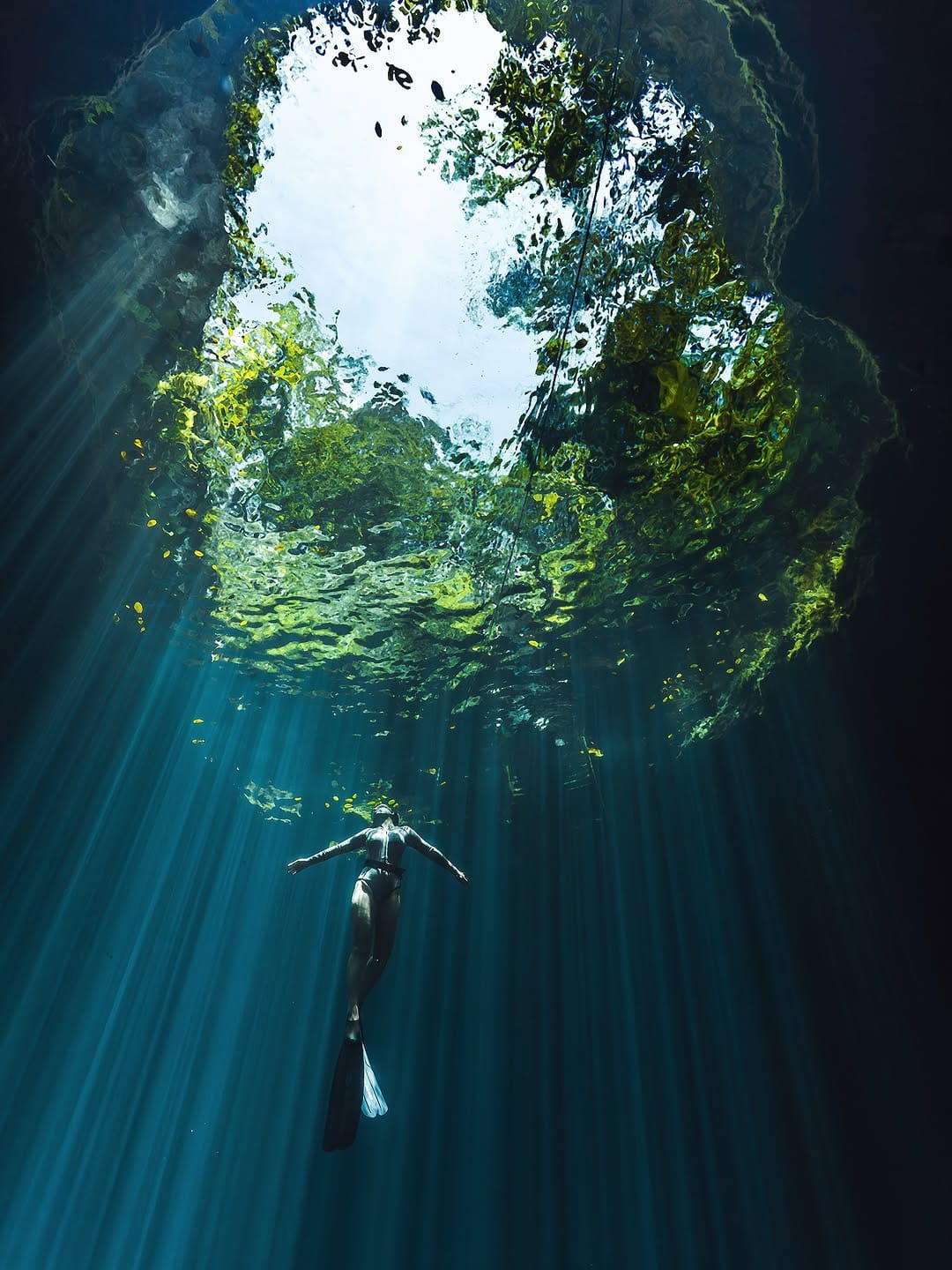 Post 5 by CENOTE & UNDERWATER ART PHOTOGRAPHER | RIVIERA MAYA on Instagram (carousel)
