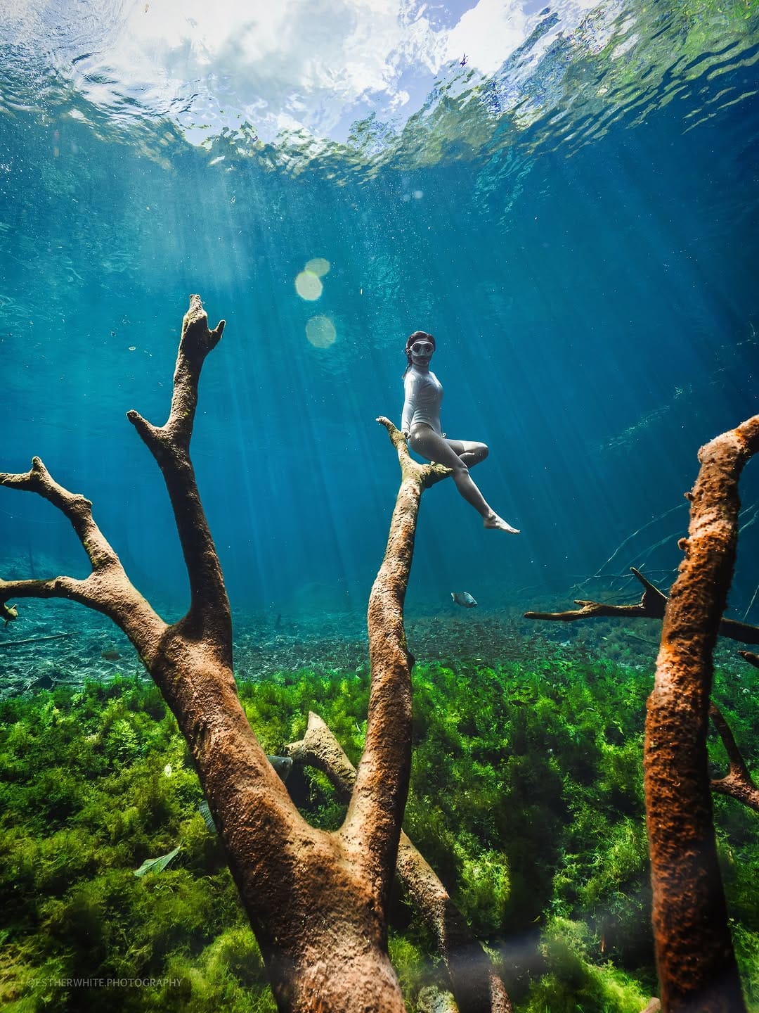 Post 7 by CENOTE & UNDERWATER ART PHOTOGRAPHER | RIVIERA MAYA on Instagram (carousel)