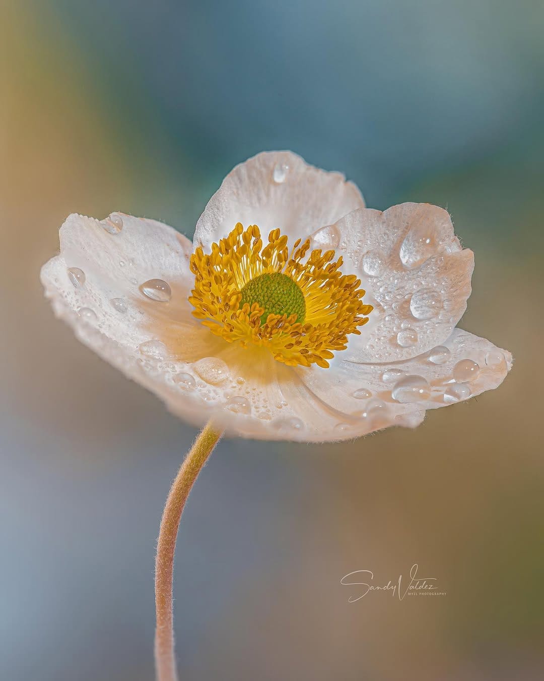 Post 8 by SANDY VALDEZ on Instagram (carousel)