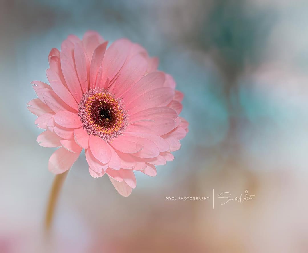 Post 4 by SANDY VALDEZ on Instagram (image)