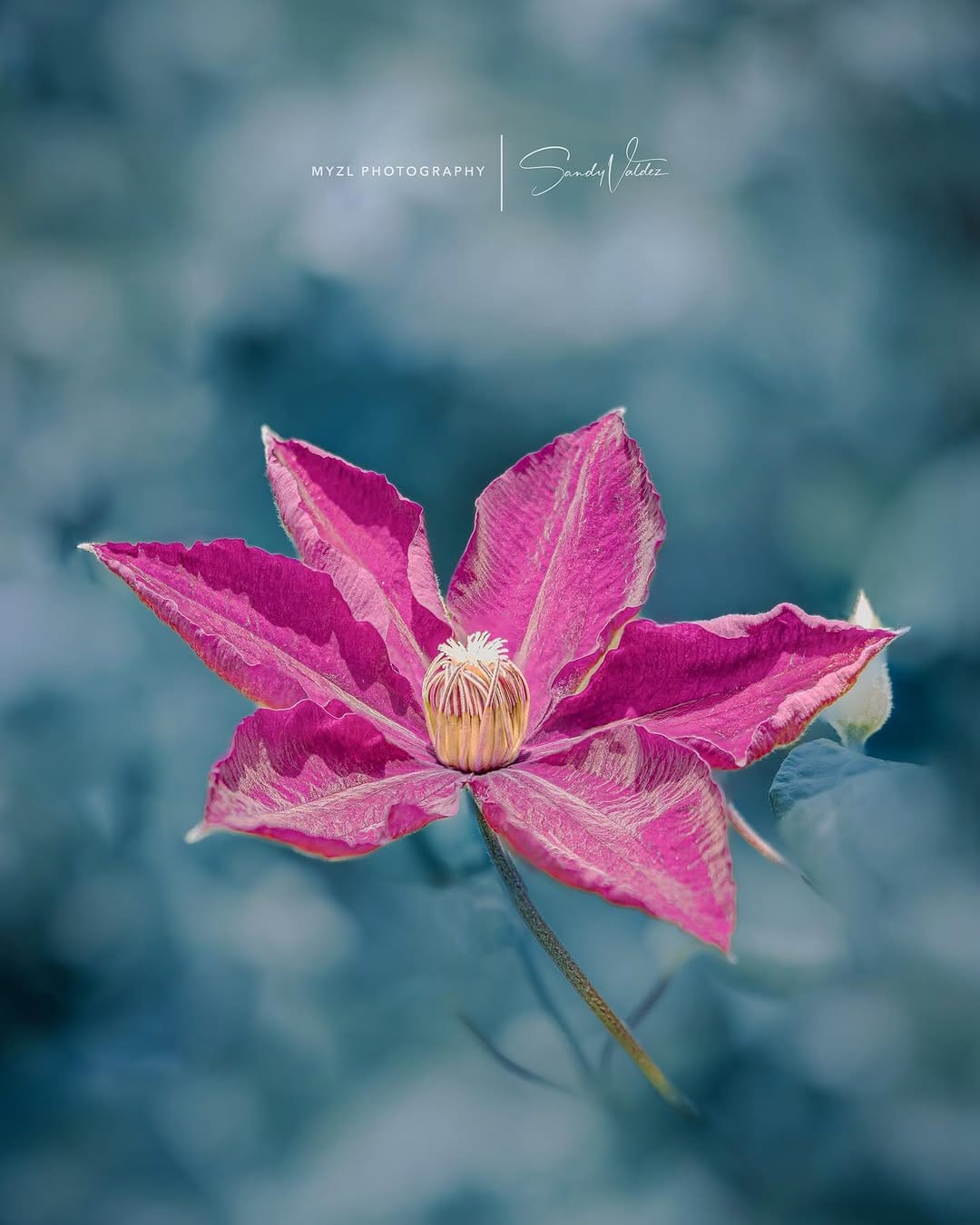 Post 6 by SANDY VALDEZ on Instagram (image)