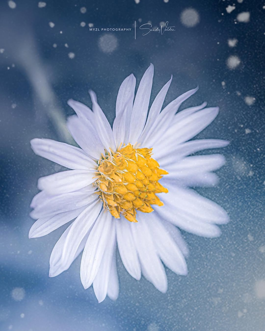 Post 1 by SANDY VALDEZ on Instagram (image)