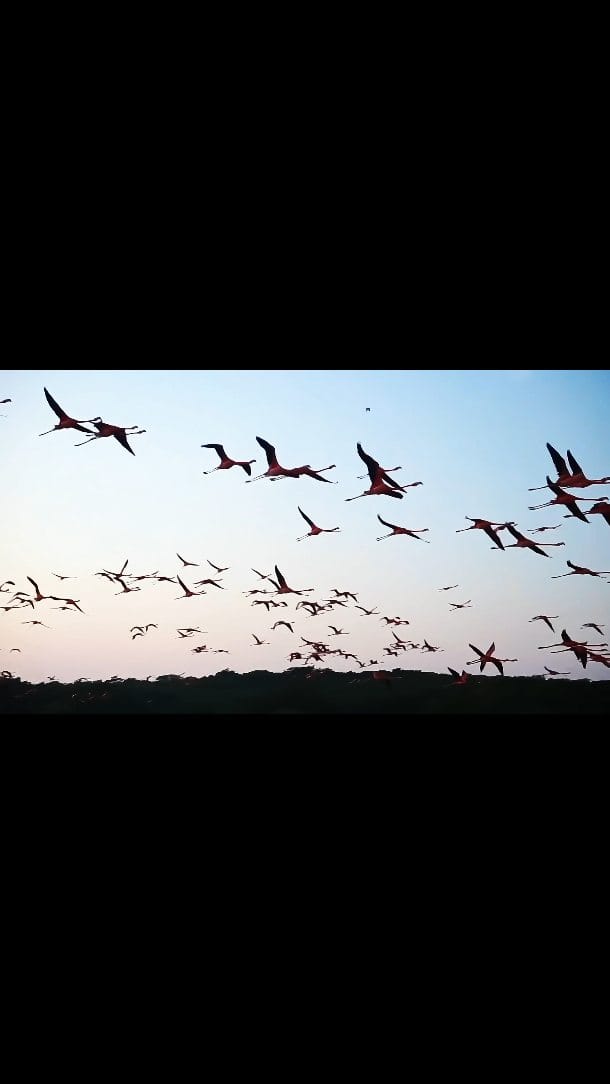 Post 7 by Karen Melo on Instagram (video)