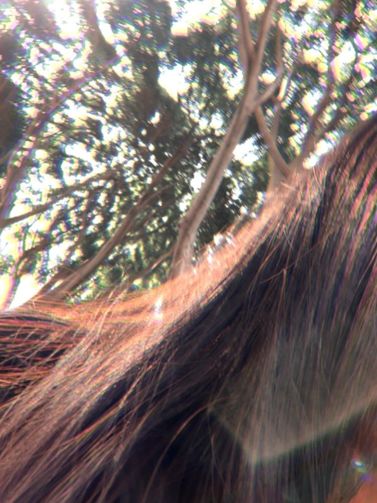 Post 2 by Fer Grantt on Instagram (carousel)