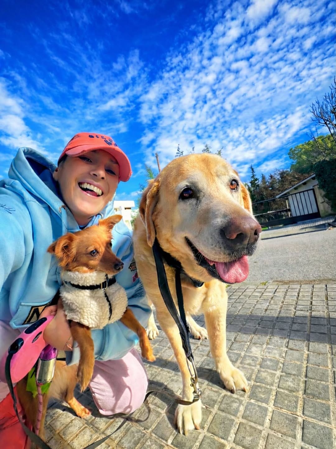 Post 8 by Lola Siles on Instagram (image)